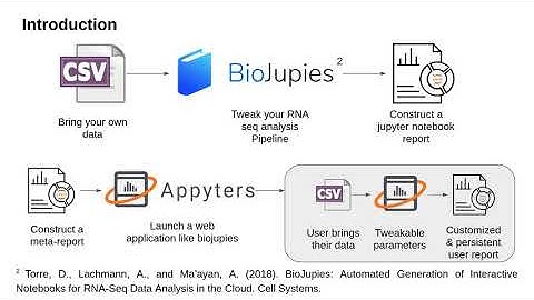 Appyters: Turning Jupyter Notebooks into Data Driven Web Apps