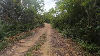 Helping a friend ( FOR SALE 11 HECTARE FARM LAND FOR 2.5 MILLION)  Clean Title