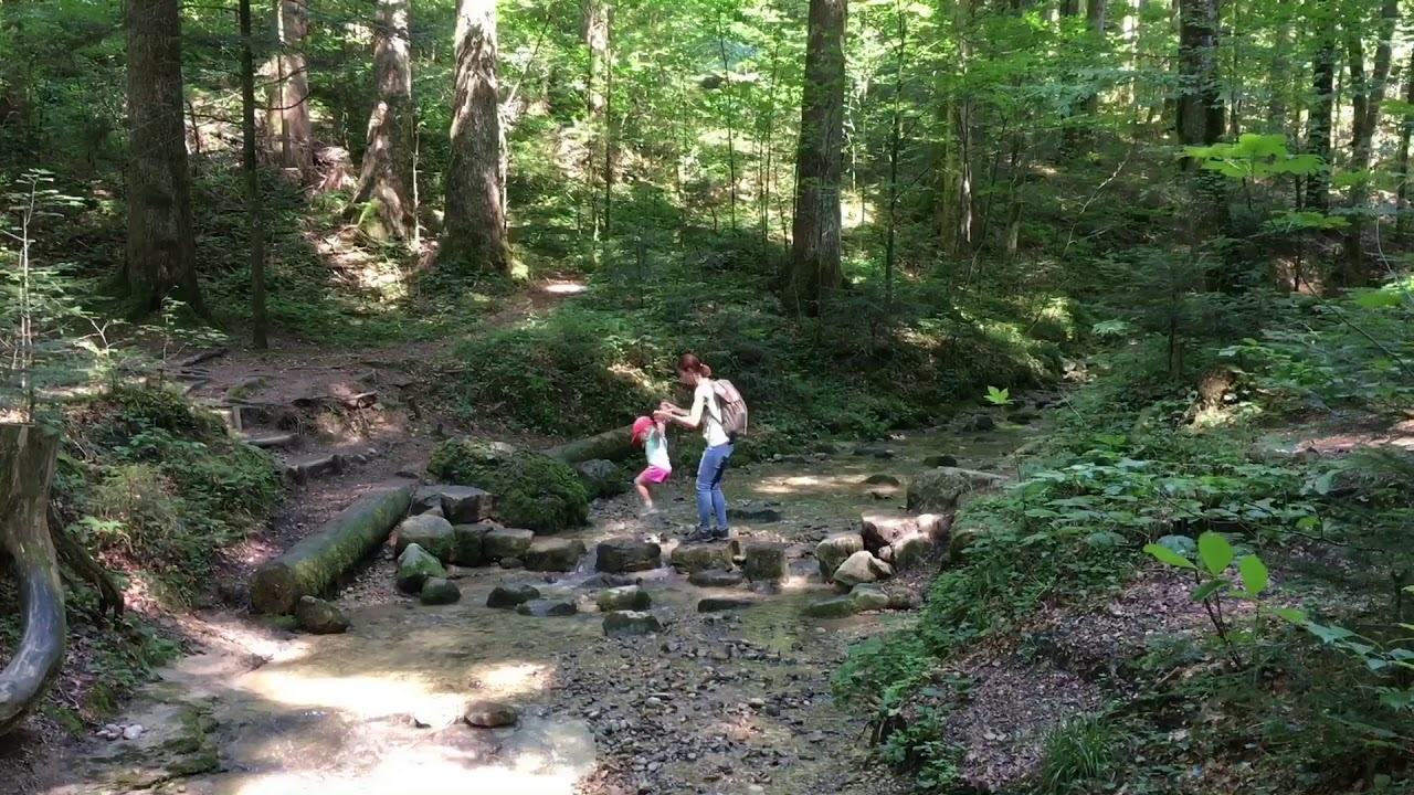 Walderlebnispfad Möggers