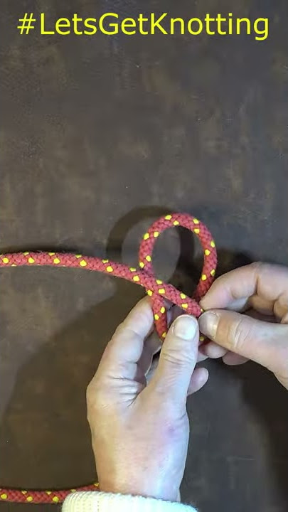 How to Tie the Angler's Loop #Shorts