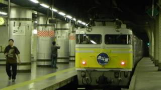 北斗星 EF81-99 上野駅回送 20100523 P100
