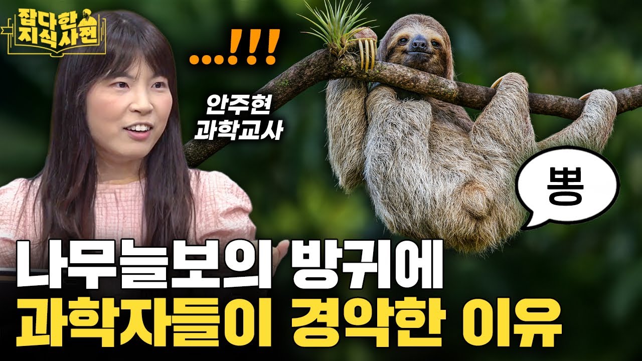 나무늘보, 청어, 물범의 신기방귀한 방귀 (잡지사와 초면에 방귀 튼 선생님)