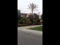 Maggie Riding Skateboard with Lei
