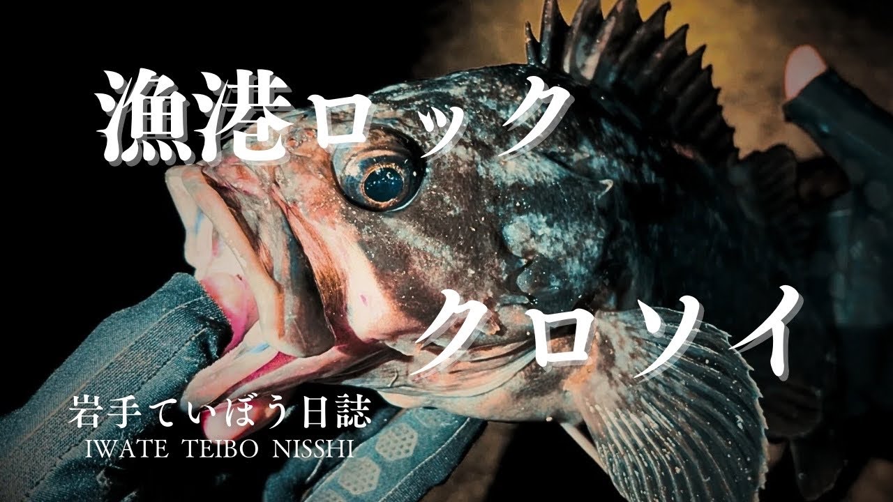 【山田町】強烈なバイト！漁港ライトロックでクロソイを狙う！　ロックマックス5インチ&4インチ