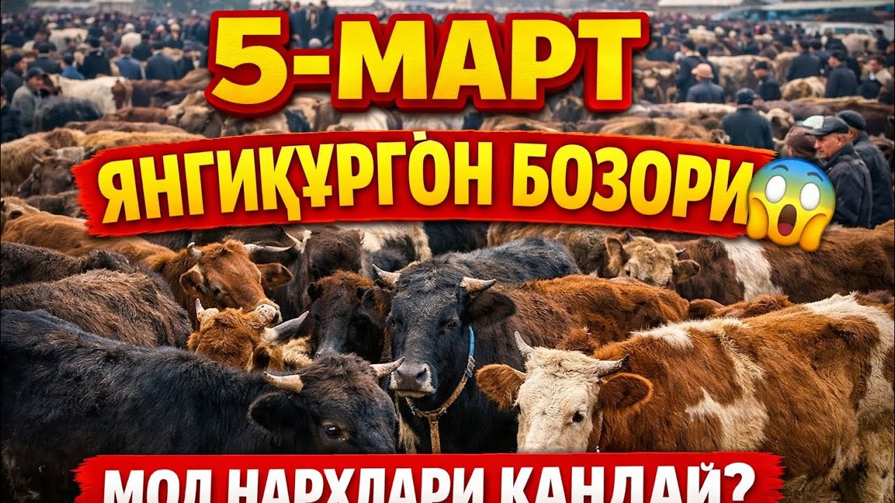 нархлар канчалик узгаргани кизикми❓