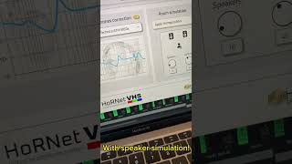 HoRNet VHS 1.3.0 now with speakers simulation