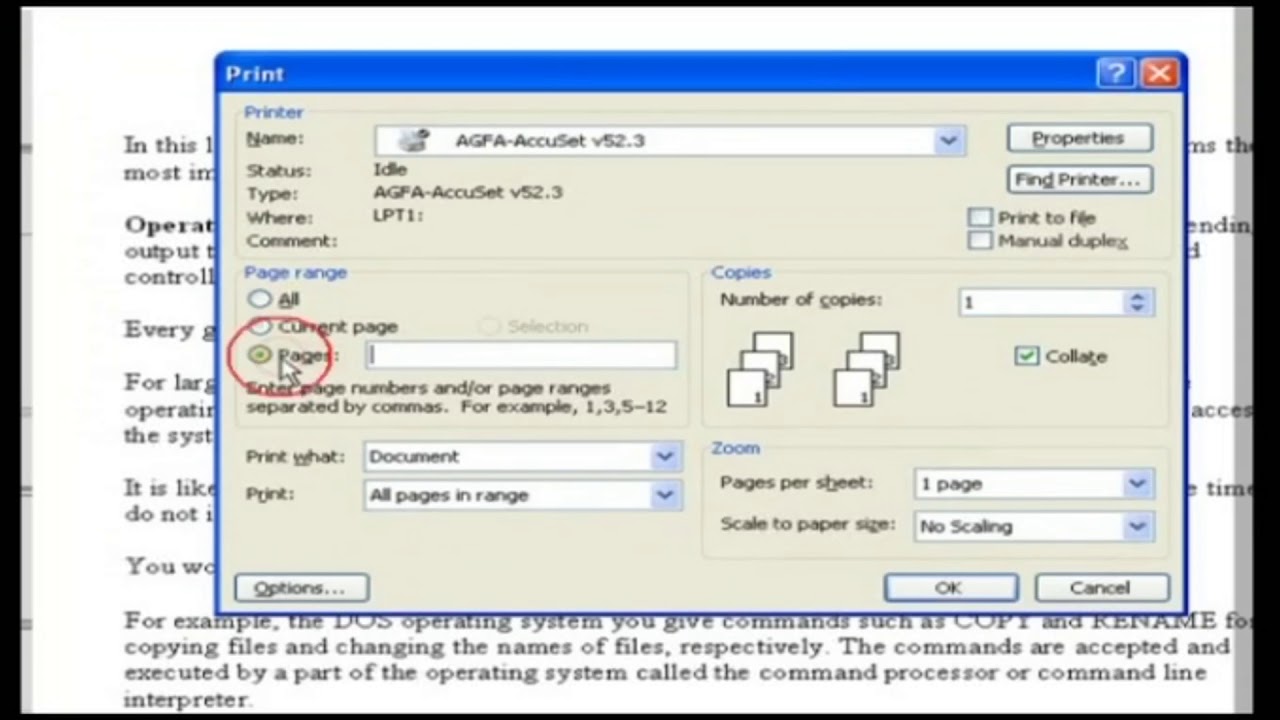 How To Print A File || Print A Documents || Computer Basic For Beginners In English