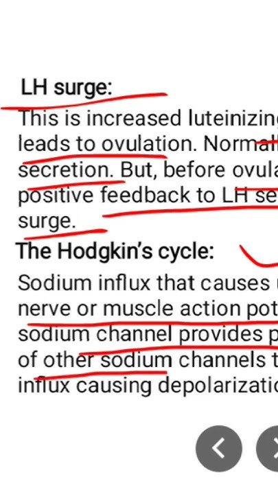positive-feedback-mechanism-examples-youtube
