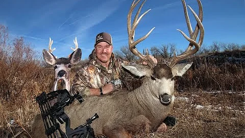 200-Inch Mule Deer Taken with a Stalker Decoy