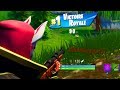 TOP 1 FORTNITE : PETIT CHAT SE DÉCHAINE