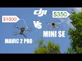 DJI Mini SE vs DJI Mavic 2 Pro дорогой дрон против дешевого сравнение