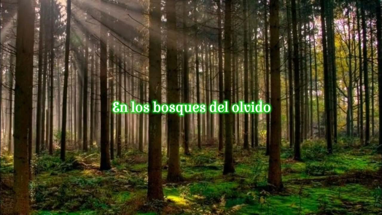 Los Destellos Alos Bosques Me Interno Yo A los bosques me interno yo - Los destello ( letra ) - YouTube