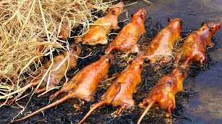 Top 5 Delicious Dishes From The Ricefield Rat - Super Farmer Catches Mice | Vietnamese Food