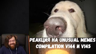 Реакция на Unusual Memes Compilation V144 и V145