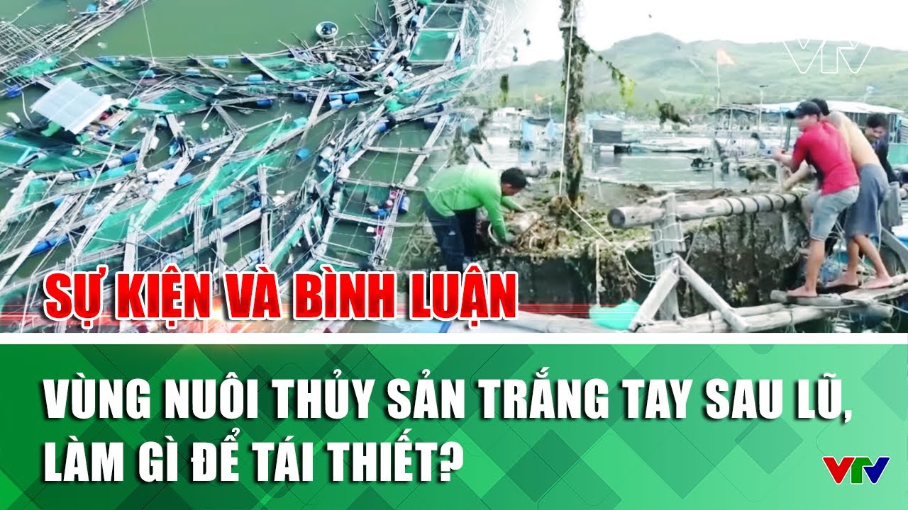 Vùng nuôi thủy sản trắng tay sau lũ, làm gì để tái thiết? | Sự kiện và Bình luận | VTV