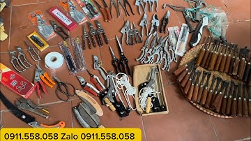 ĐẦU KÉO DDEN DẬT CÀNH CÂY THANH LÝ ĐỤC LÀM CÂY CẢNH LÀM CÂY BONSAI