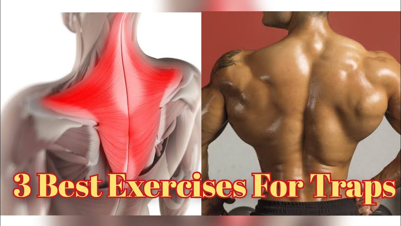 3 Best Traps Exercises🔥 | Get Big Traps Fast