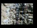 سقوط السيارة في بئر وخروج الرجل سبحان الله