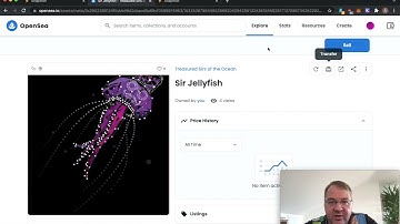 Quadratic Voting Testing for OceanDAO Round 11 #2 - NFT raffle