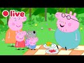 🔴 Peppa Pig AO VIVO 🐷 Maratona Papai Pig 2026 🏃 VAMOS PAPAI PIG! 🏁 Episódios Completos