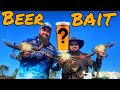 CATCHING MUD CRABS WITH BEER???