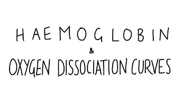 Haemoglobin & Oxygen Dissociation Curves