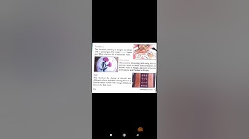 25-01-2021 Class 3rd EVs Chapter-18 (Invention of Pottery and textiles) Explanation (Part -2)