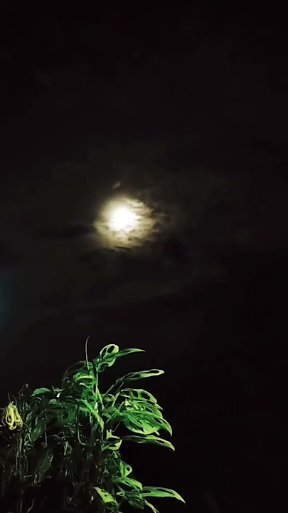 memandang bulan di malam hari #shortvideo #subscribe #subscribe #short #viral #trending