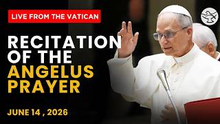 Recitation of the Angelus Prayer | Pope Leo XIV | June  14, 2026 | Live from the Vatican