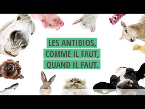 Vidéo: Les États-Unis Demandent Des Réductions Volontaires Dans Les Antibiotiques Agricoles