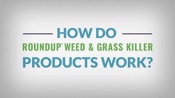Learn the Basics of Roundup® Weed & Grass Killer Products - How Do They Work?