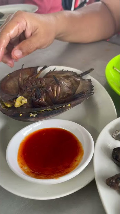 cara makan belangkas bakar #belangkas #horseshoecrab#shorts
