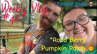 WEEKLY VLOG #42: Roca Berry Farm Pumpkin Patch!  + Toby's New Medicine Haul for his UTI!