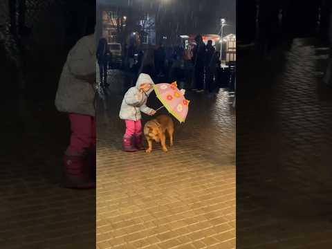 Видео: Маленькая девочка с большим сердцем!