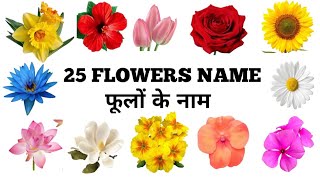 25 flowers name in hindi and english with PDF/ flowers name/ फूलों के नाम/(Brajpriya kids class)