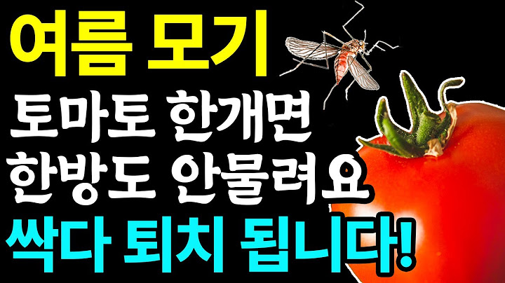 모기! 토마토 하나면 얼씬도 못합니다! 간단한 천연 모기퇴치제로 올 여름 살충제 없이 모기 걱정 끝!