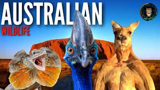 The Most Unique Animals On Earth Live In Australia