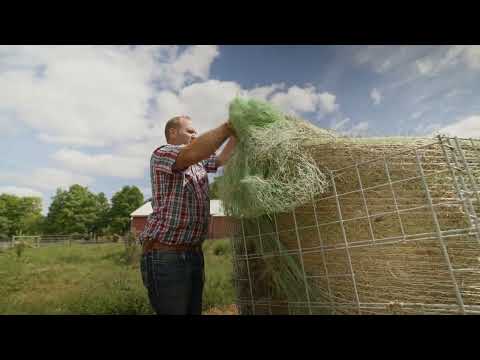 Veteran Farmer Builds Thriving Farm After Marine Corps Service | Jason’s Story