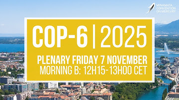 #MinamataCOP6: Morning Plenary B (7 November 2025)