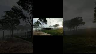 Where Nature Meets Minimal Design Lumor.