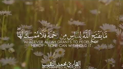 محمد النقيب /قرآن كريم/تلاوة عطرة/ مقاطع قصيرة/ حالات واتساب