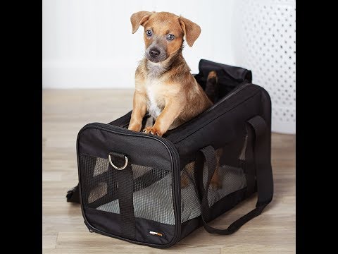 AmazonBasics Soft Sided Pet Travel Carrier Review