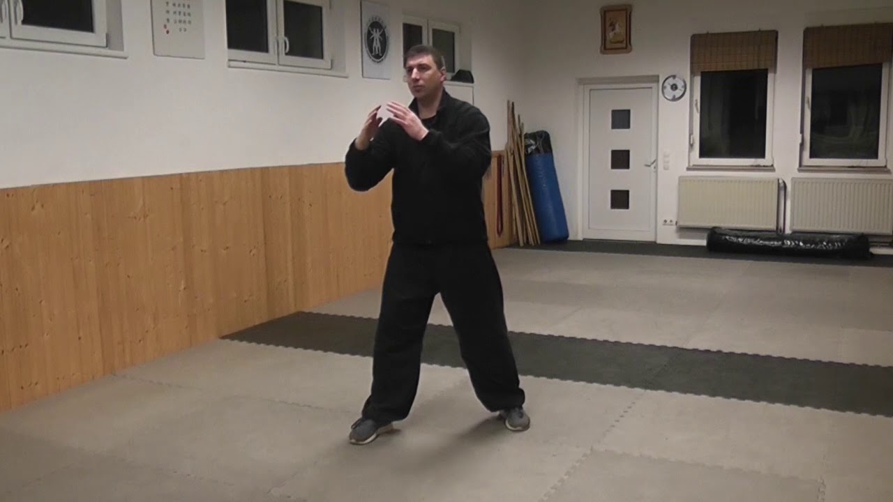 Chow Gar Mantis: Level 1 - 8 Basics