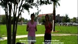 First Coast Rescue Roundup Episode 1