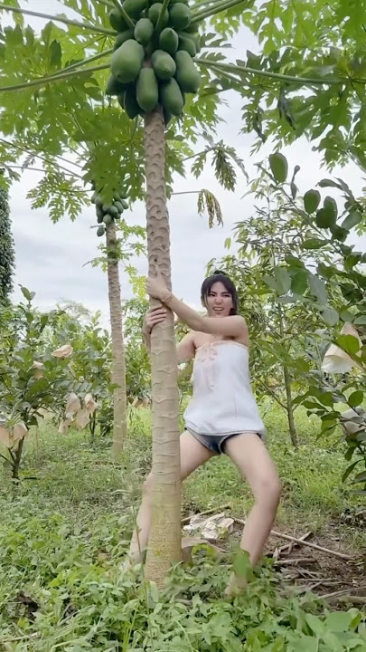 Mau ketawa takut dosa video lucu bikin ngakak hiburan warga 62 viral video funny videos funny shorts