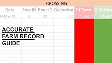 My Record Keeping Guide to Track My Pig Farm