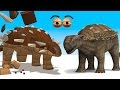 CUBE BUILDER for KIDS (HD) - Build an Ankylosaurus Dinosaur for Children - AApV