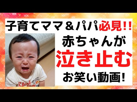 新喜劇 ガキ使 M-1 エンタなど赤ちゃんが泣き止むお笑いネタ動画を紹介します！子育てパパ＆ママ必見！育児に役立つお笑いネタ動画！