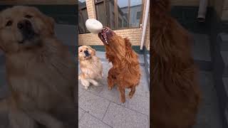 They finally grab it