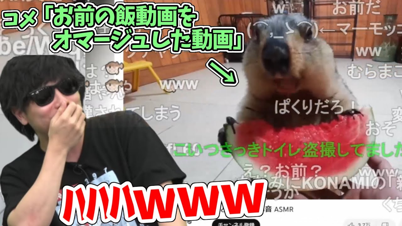 自分の飯動画をオマージュした動画を見たら、マーモットで爆笑するもこう先生【2023/5/19】